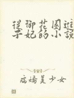 从御花园进入太子妃的小说