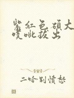 紫红色硕大噗呲噗呲拔出