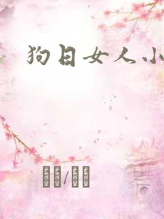 狗日女人小说