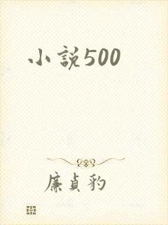 小说500