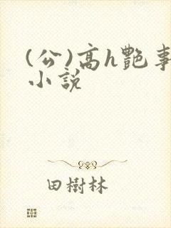 (公)高h艳事小说