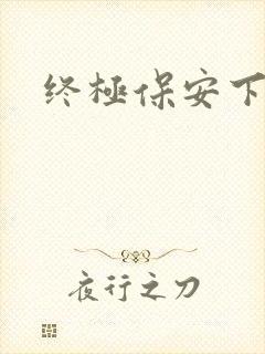 终极保安下载
