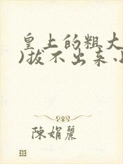 皇上的粗大(h)拔不出来小说