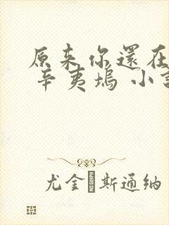 原来你还在这里 辛夷坞 小说