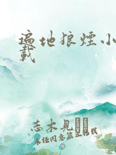 遍地狼烟小说下载