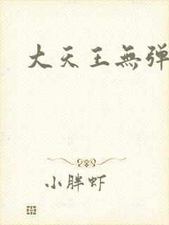 大天王无弹窗