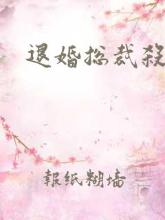 退婚总裁杀手妻