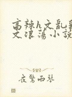 高辣h文乱乳h文浪荡小说