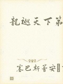龙巡天下第四部