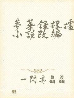 梦华录根据什么小说改编