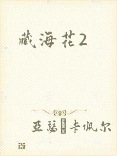藏海花2