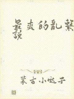 最爽的乱系列小说