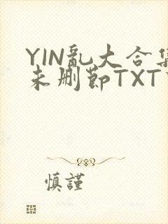 YIN乱大合集未删节TXT下载