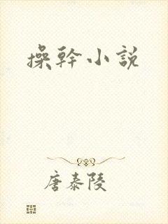操干小说