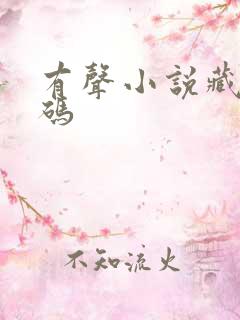 有声小说藏地密码