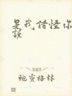 是我错怪你了小说