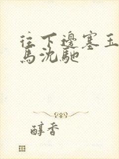 往下边塞玉器骑马沈驰