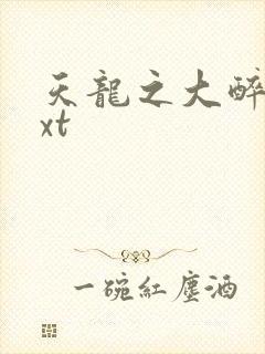 天龙之大醉侠txt