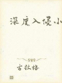 深度入侵小说