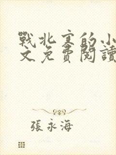 战北寒的小说全文免费阅读无弹窗