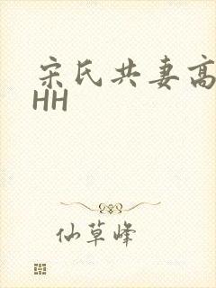 宋氏共妻高黄HHH