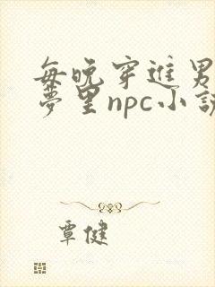 每晚穿进男神的梦里npc小说