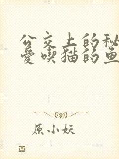 公交上的秘密 爱吃猫的鱼