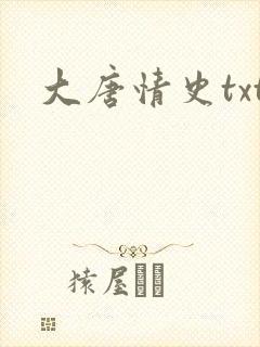 大唐情史txt