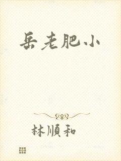 岳老肥小