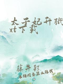 太子妃升职记txt下载