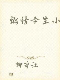 燃情今生小说