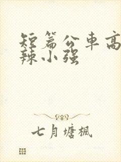 短篇公车高h肉辣小强