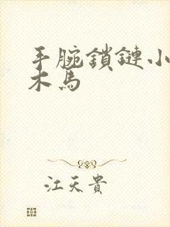 手腕锁链小黑屋木马