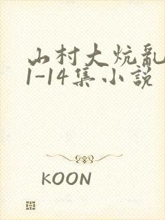 山村大炕乱肉续1-14集小说