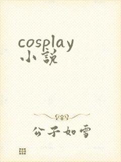 cosplay小说