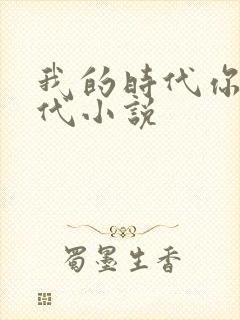 我的时代你的时代小说