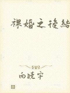 裸婚之后结局
