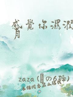 感觉你湿润我四月