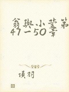 翁与小莹第十部47一5O章