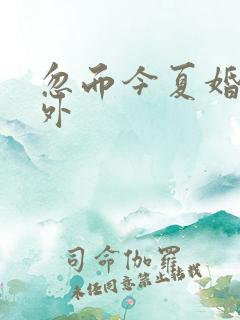 忽而今夏婚后番外