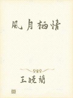 风月栖情