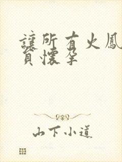 让所有火凤凰队员怀孕