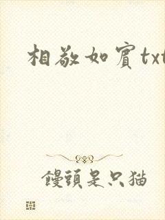 相敬如宾txt