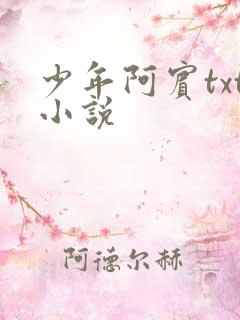 少年阿宾txt小说