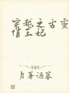 穿越之古灵精怪俏王妃