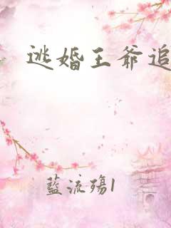 逃婚王爷追逃妃