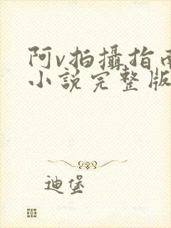 阿v拍摄指南说小说完整版