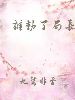 谁动了局长夫人