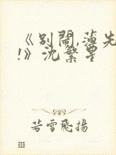 《别闹,薄先生!》沈繁星