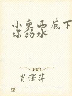 小东西底下都是你的水